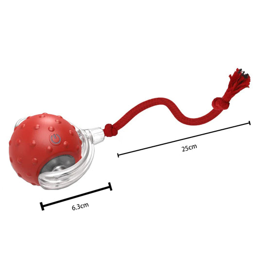 Interactive Cat Toy Ball with Bird Chirping Super Drive Cat Rolling Balls Motion Activated Sensor Pet Kittens Teaser Game Toys