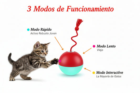Interactive Cat Toy Ball with Bird Chirping Super Drive Cat Rolling Balls Motion Activated Sensor Pet Kittens Teaser Game Toys